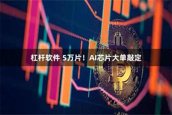 杠杆软件 5万片！AI芯片大单敲定