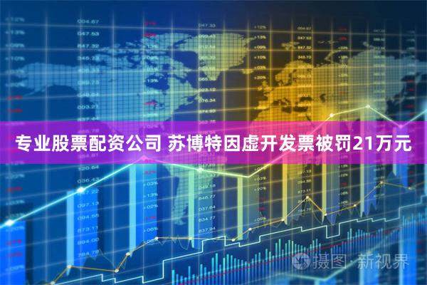 专业股票配资公司 苏博特因虚开发票被罚21万元