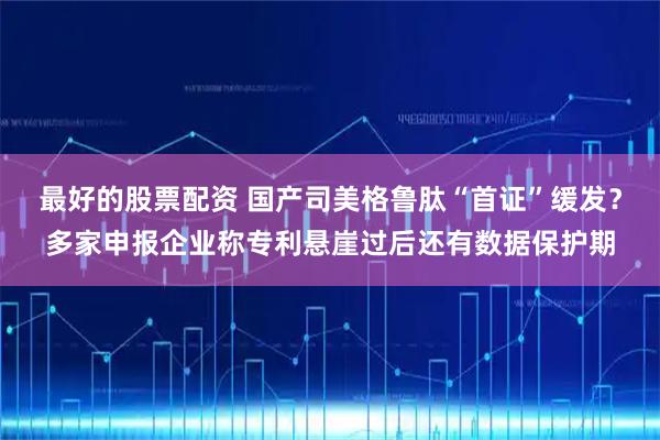 最好的股票配资 国产司美格鲁肽“首证”缓发？多家申报企业称专利悬崖过后还有数据保护期